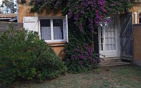Mas Maurane - Le Bougainvillier